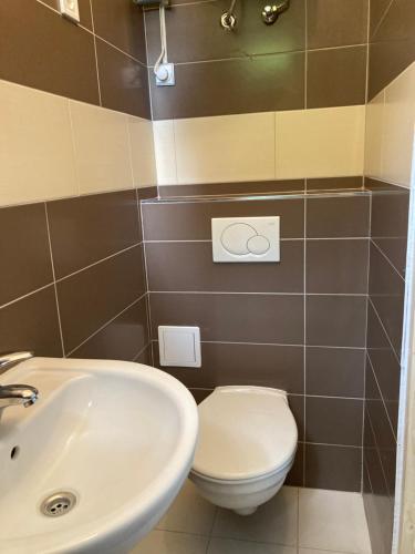 比克克塞克Salvus Panzió的浴室配有白色卫生间和盥洗盆。