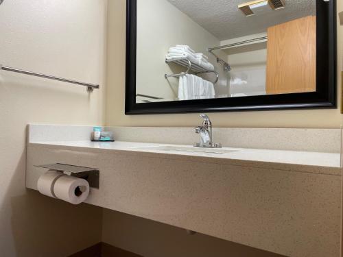 HuronCrossroads Hotel and Huron Event Center的一间带水槽和镜子的浴室