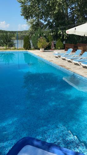 Băltenii de SusPensiunea Știuca Șchioapă的一个带蓝色海水和躺椅的游泳池