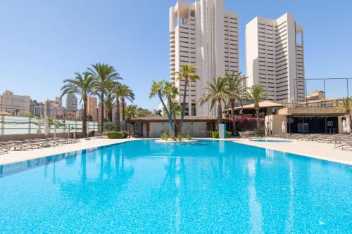 贝尼多姆Hotel BCL Levante Club & Spa 4 Sup - Only Adults Recomended的一座棕榈树和建筑的大型游泳池