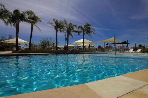 穆尔瓦拉Sun Country Lifestyle Park的一座棕榈树和遮阳伞的大型游泳池