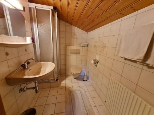 Apartement Obweghof Abtenau, Salzburger Land的一间浴室