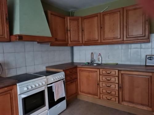 利耶帕亚The Bunker hostel的厨房配有木制橱柜和白色炉灶烤箱。