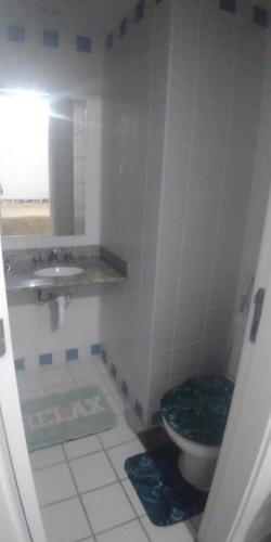 里约热内卢Apê Namastê的一间带卫生间和水槽的浴室
