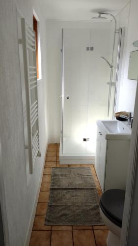 巴特萨克萨Chalet的带淋浴、卫生间和盥洗盆的浴室