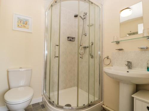 Westbury-sub-MendipGlebe Lodge的带淋浴、卫生间和盥洗盆的浴室