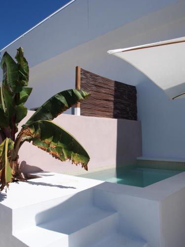 马拉加SUITES 9 MALAGA, three unique suites with private plunge pool的相册照片