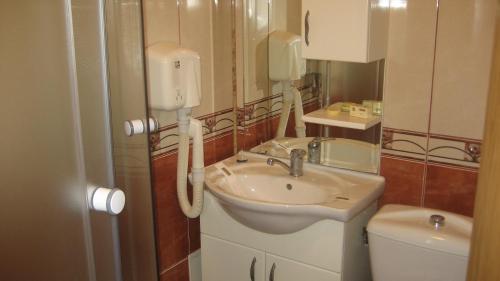 塔古玖Hotel Palace的一间带水槽和卫生间的浴室