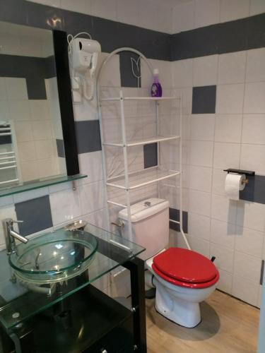 奥赖松Petite maisonnette d'environ 25m2 tout confort的一间带红色卫生间和玻璃水槽的浴室