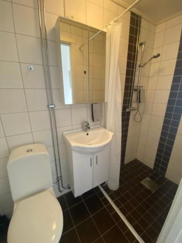 FröviFrövi hotell的浴室配有卫生间、盥洗盆和淋浴。