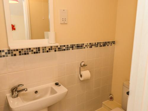 劳斯Cherry Pips的一间带水槽、卫生间和镜子的浴室
