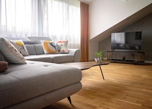 海乌姆Modern Apart w Centrum的带沙发和平面电视的客厅