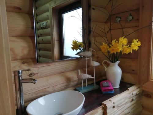 雷文格拉斯Ravenglass Log Cabin的浴室设有水槽、镜子和鲜花