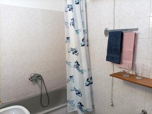 大毛罗什Zöldfa8的浴室配有淋浴帘和盥洗盆。