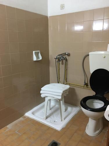 纳夫普利翁阿尔特弥斯酒店的一间带卫生间和凳子的浴室