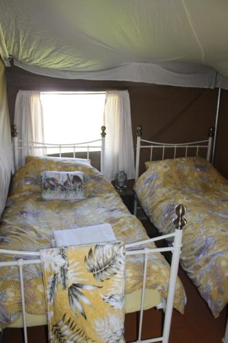 迪斯Green Rabbit Glamping的一间卧室设有两张床和窗户。