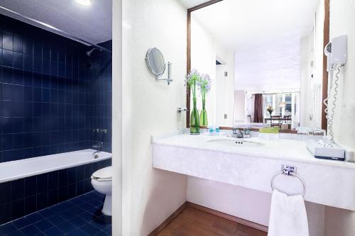 墨西哥城圣马力诺套房EXE酒店的一间带水槽、卫生间和镜子的浴室