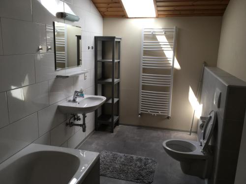 滨湖采尔Appartement Kitzsteinhorn的一间带水槽、卫生间和镜子的浴室