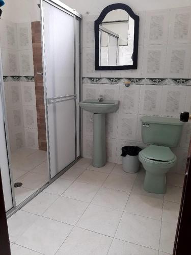 OcañaHotel Majestic的浴室配有绿色卫生间和水槽。