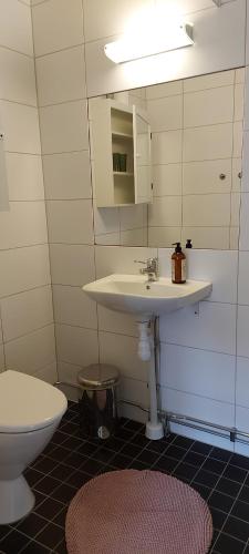 LångekärrPilane B&B的一间带水槽和卫生间的浴室