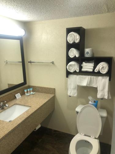 Quail Inn and Suites - Myrtle Beach的一间浴室