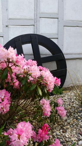Ober KostenzKehrmühle的坐在粉红色花朵旁边的黑色金属标志