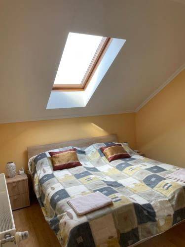 豪伊杜索博斯洛Julius Apartman的一间卧室配有一张带天窗的床