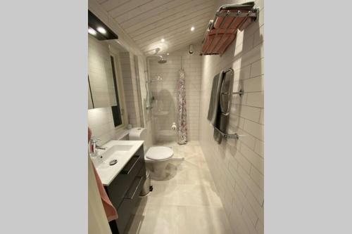 古斯塔堡Cottage perfect for short time rent的一间带卫生间和水槽的浴室