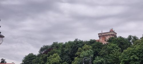 奥特穆胡夫Zamek Otmuchów的一座树冠茂密的山顶上的城堡