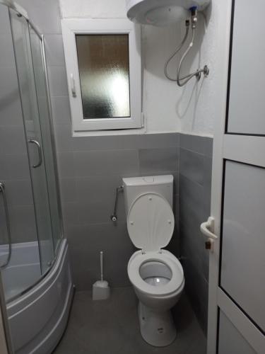 安吉MD Apartmani Canj的一间带卫生间和窗户的小浴室