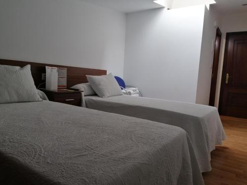 欧德鲁佐Pensión CHE的一间酒店客房,房间内设有两张床