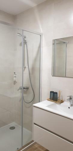 VilarinhoCasa do Condado的带淋浴和盥洗盆的浴室