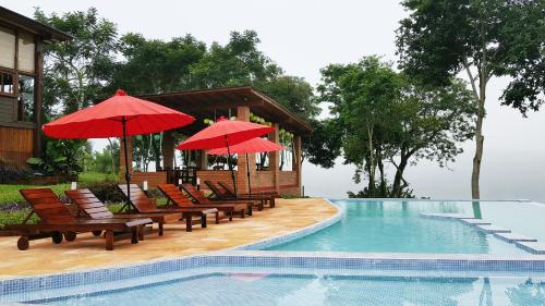埃尔索韦维奥Puro Moconá Lodge的房屋旁的游泳池配有椅子和遮阳伞