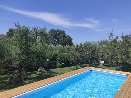 Santa LuciaIl Trullo del Lazzeruolo的一座树木繁茂的庭院内的游泳池
