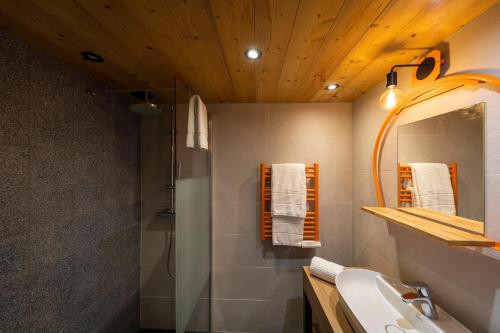 莱德萨阿尔卑斯Hotel Base Camp Lodge - Les 2 Alpes的带淋浴、盥洗盆和镜子的浴室