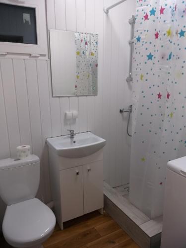马佐夫舍地区格罗济斯克Domek N5 - 2 Pokoje , Kuchnia , Łazienka 5 osobowy - FreezerHause Izdebno- NoclegiGrodziskPL的白色的浴室设有卫生间和淋浴。