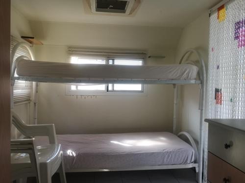 梅坦蓬托Villaggio Mondial Camping的小型客房设有一张双层床,配有窗户