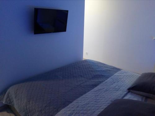 扎莫希奇Słoneczne Planty的卧室配有一张床铺,墙上配有电视