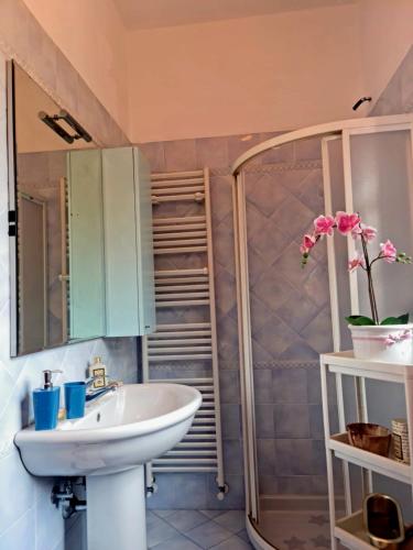 利多迪卡马约雷Villa Versilia的一间带水槽和淋浴的浴室