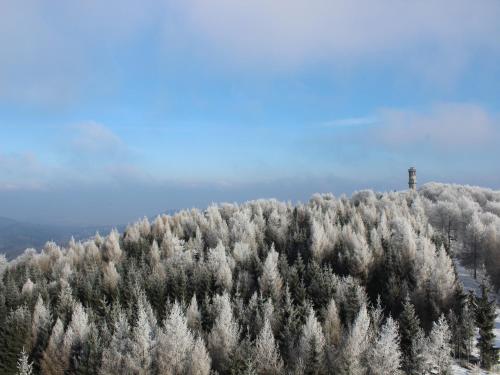 HainHochwaldbaude的一座有树木的雪覆盖的山丘,一座塔楼