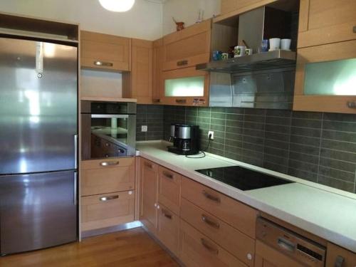 拉里萨Larisa, Park view apartment的厨房配有木制橱柜和不锈钢冰箱。