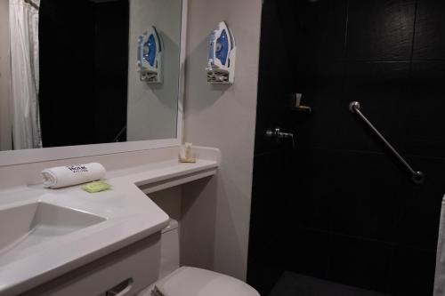阿特利斯科BV Hotel Atlixco的一间带卫生间、水槽和镜子的浴室