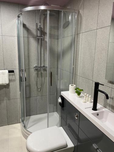 卡迪夫Aaron Wise - 51 Fitzhamon Apartments的带淋浴、卫生间和盥洗盆的浴室
