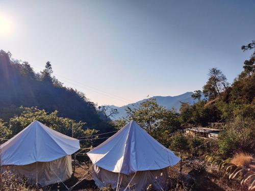 瑞诗凯诗TRIBE AQUA a nature retreat above Neer waterfall的两顶帐篷位于山地的田野中