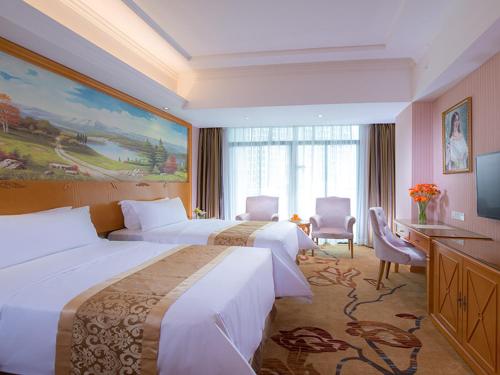 Yuanzhou维也纳酒店广东惠州园洲店的酒店客房设有两张床和电视。