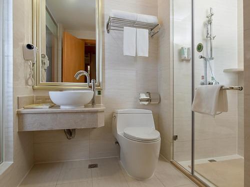 深圳维也纳3好酒店深圳爱榕路店的浴室配有卫生间、盥洗盆和淋浴。