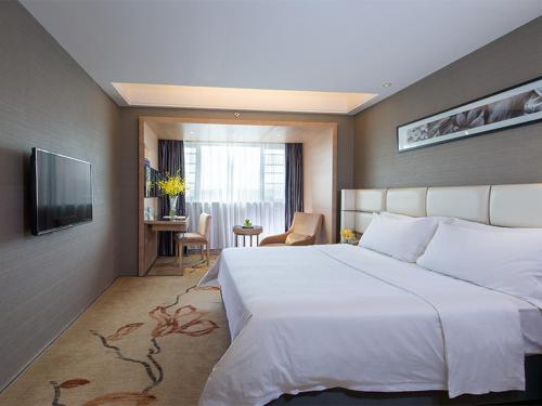 广州维也纳国际酒店广州火车南站店的酒店客房设有一张大床和一台电视。