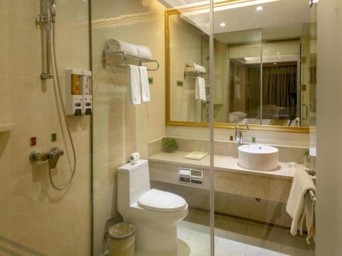 上海维也纳酒店上海杨浦五角场店的一间带卫生间和水槽的浴室