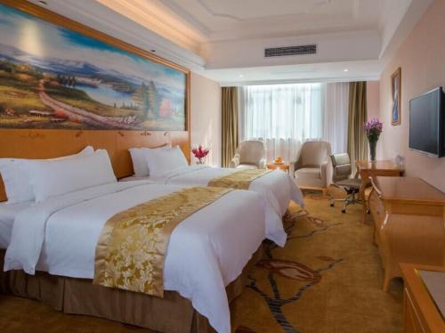 佛山维也纳酒店广东佛山陶瓷城店的酒店客房设有一张大床和一台电视。