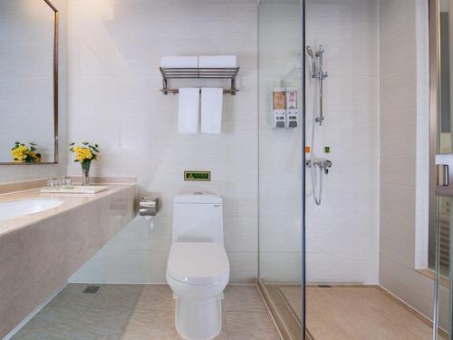 深圳维也纳酒店深圳华强北店的浴室配有卫生间、盥洗盆和淋浴。